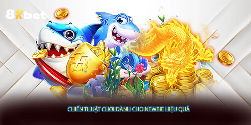 Chiến thuật chơi dành cho newbie hiệu quả