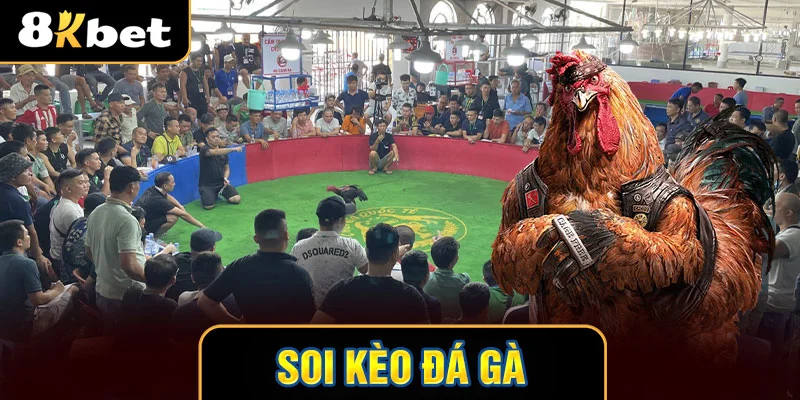 thumb soi kèo đá gà